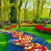 Patrick will - Facebook
