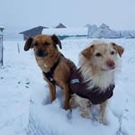 Patrick Willems - @deviscosity - Instagram