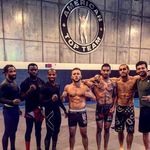 Patrick Williams - @pattheanimalwilliams - Instagram