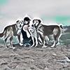 Debbie Patrick Wilton - @debbiepatrickwilt - TikTok