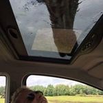 Patrick van der Wilt - @patrick.vdwilt - Instagram