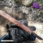 Patrick Joseph Woodcock - Facebook
