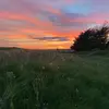 Patrick Woodrow - @patrickwoodrowlive - TikTok
