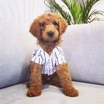 Woodrow Patrick - @woodrow.patrick - Instagram