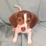Patrick F. Woolley - @2pw22 - Instagram