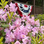 Patrick Wooten - @psloan - Instagram