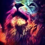 Patrick Worden - @patr.ic.kworden - Instagram