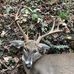 Patrick Worsham - Facebook