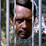 Patrick Wrenn - @pwrenn65 - Instagram