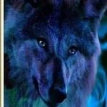 Patrick Wulff - @patrick.wulff49 - Instagram