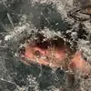 Patrick Wyss - @patrick.wyss2 - TikTok