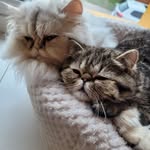 Patrick Wyss - @wyss5304 - Instagram
