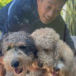 Patrick Yin - @bclcbucla - Instagram