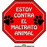 Patrick Zabala Cordova - @ivanzabalacordova - Instagram