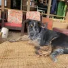 Patrick za gangster - @patrick.fisher8 - TikTok