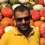 Patrick Zappavigna - @patrickzappavigna - Instagram