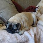 Patrick Zatorski - @patrickzatorski - Instagram