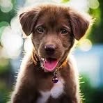 Patrick Ziegler - Facebook