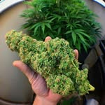 Patrick Zinkeng - @patrickzinkeng - Instagram