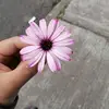 Patrick Zito - @patrick_zito - TikTok