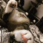 Patrycja M. Rybacka - @magni.ficent5 - Instagram
