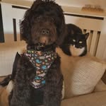 Albert & Patsy - @albertandpatsysfuntimes - Instagram