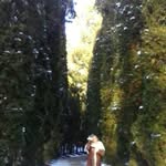 Patsy Albertson - @patsyalbertson551 - Instagram
