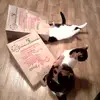 Patti Albertson - @patti.albertson - TikTok