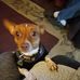Patsy Aldrich - Facebook