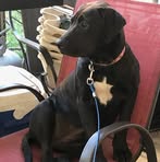 Patsy Austin - Facebook