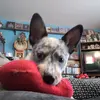 Patty Austin - @patty.austin5 - TikTok