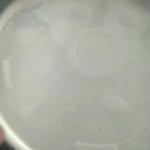 patsy ayers - @ayers.patsy - Instagram