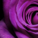 Patsy Baca - Facebook