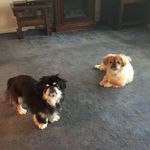 Patsy Baldwin Lutz - @pismire13 - Instagram