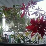 Patsy Ruth Ballesteros - @patsy_ballesteros - Instagram