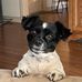 Patsy Barker - Facebook