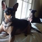 Patsy N James Barker - @patsyjamesbarker - Instagram