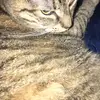 Patty Barker - @pattybarker - TikTok