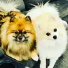 Patty Barth - @ms.patty_03 - TikTok
