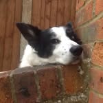 Bartlett Patsy - @patsybartlett58 - Instagram