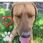 Patsy Bass - @patsyplus4 - Instagram