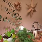 Patty Bauer - @p.attybee - Instagram