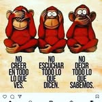 Patty Bauer - @pattybauer73 - Instagram