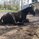 Patty Bauer - @_patty.b78 - Instagram