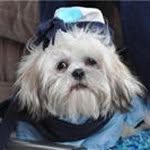 Patty Bauer Peterson - @pattypeterson23 - Instagram