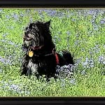 Patty (Baughman ) Painter - @patty.painter7 - Instagram