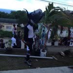 Patsy - @patsybeachbar - Instagram