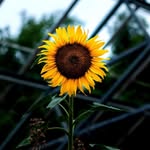Patsy Earl - @patsy.bearden.6 - Instagram
