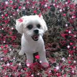 Patsy Beckham Weiss - @patsyweiss - Instagram