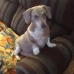 Patsy Beeler - Facebook